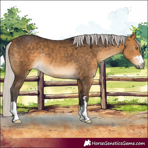 Horse Color:Silver Buckskin Rabicano 