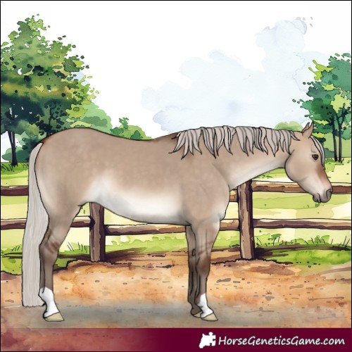 Horse Color:Silver Brown Dun 