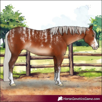Horse Color:Powder White Silver Brown 