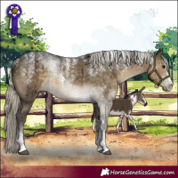 Horse Color:Powder White Silver Smoky Grullo Rabicano Brindle 