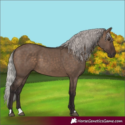 Horse Color:Silver Brown Dun 