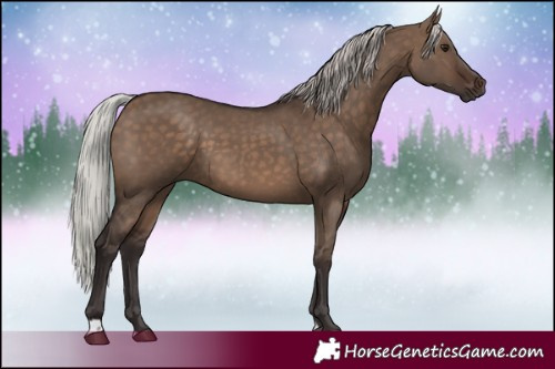 Horse Color:Silver Brown Dun 
