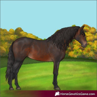 Horse Color:Brown 