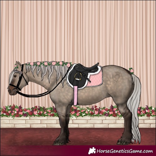 Horse Color:Silver Brown Dun 