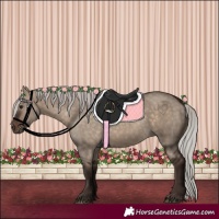 Horse Color:Silver Brown Dun