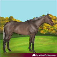 Horse Color:Silver Brown Dun 