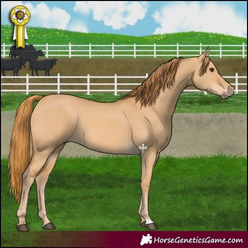 Horse Color:Red Dun 