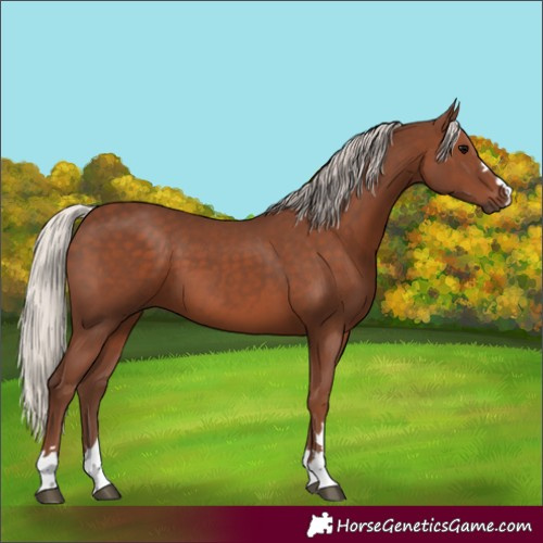 Horse Color:Silver Black 