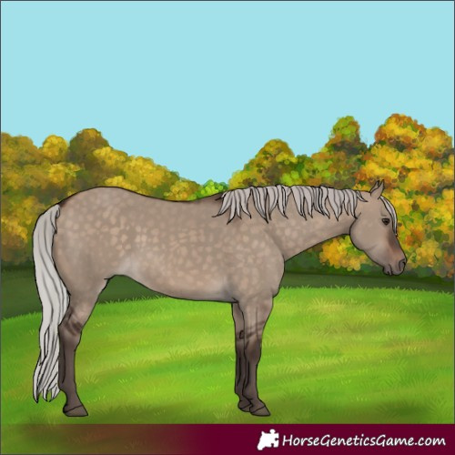 Horse Color:Silver Brown Dun