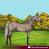 Horse Color:Silver Brown Dun