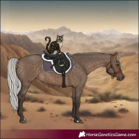 Horse Color:Silver Brown Dun 