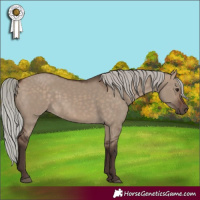 Horse Color:Silver Brown Dun 