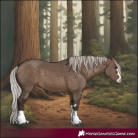 Horse Color:Silver Brown Dun 