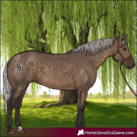Horse Color:Silver Brown Dun