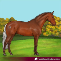 Horse Color:Silver Bay