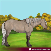 Horse Color:Silver Brown Dun