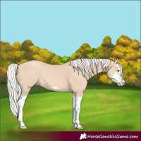 Horse Color:Silver Classic Champagne Dun Splash Frame