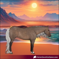 Horse Color:Silver Brown Dun