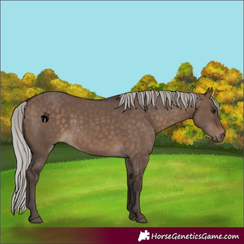 Horse Color:Silver Brown Dun 