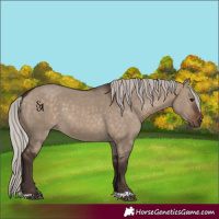 Horse Color:Silver Brown Dun 