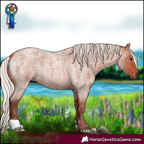 Horse Color:Chocolate Silver Bay Roan