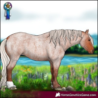 Horse Color:Chocolate Silver Bay Roan