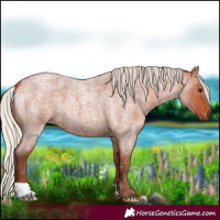 Horse Color:Chocolate Silver Bay Roan 