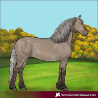 Horse Color:Silver Brown Dun 