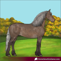 Horse Color:Silver Brown Dun 