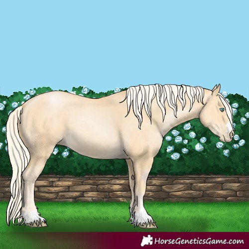 Horse Color:Palomino Pearl
