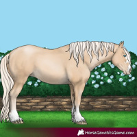 Horse Color:Palomino Pearl