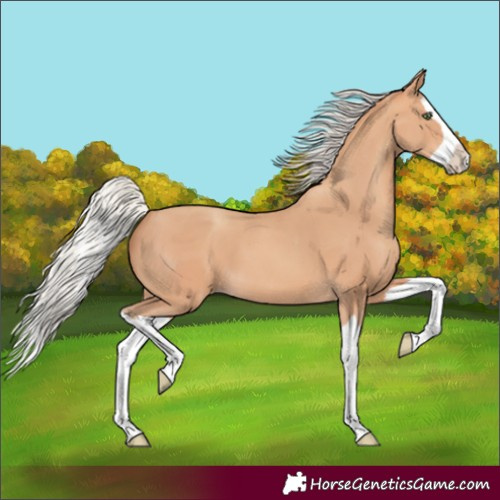 Horse Color:Silver Amber Champagne Splash 