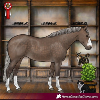 Horse Color:Silver Brown Dun 