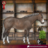 Horse Color:Silver Brown Dun 