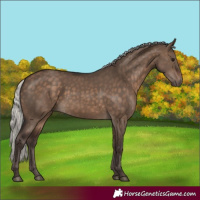 Horse Color:Silver Brown Dun 
