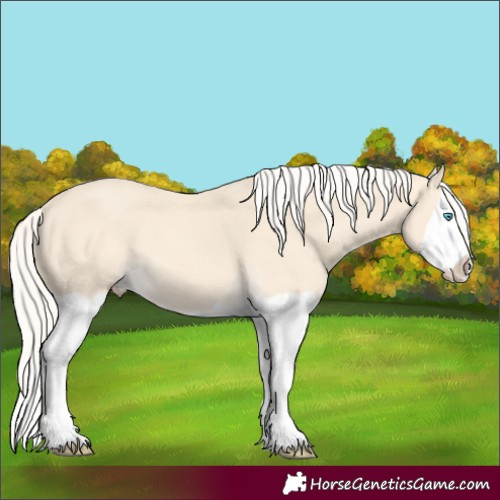 Horse Color:Cremello Splash 