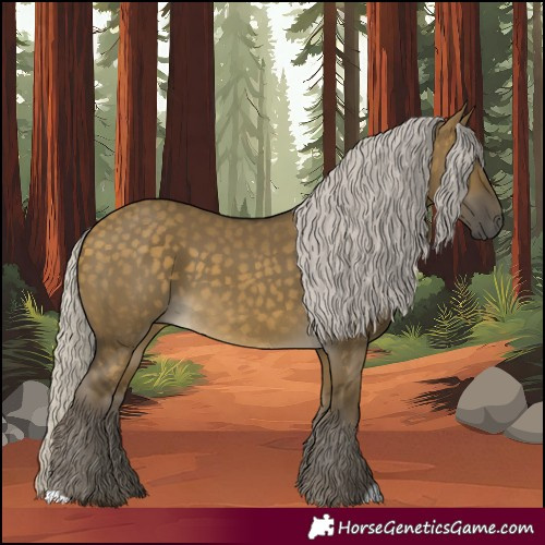 Horse Color:Silver Buckskin Dun 