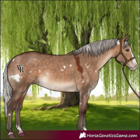 Horse Color:White Spotted Silver Brown Dun Splash Rabicano 
