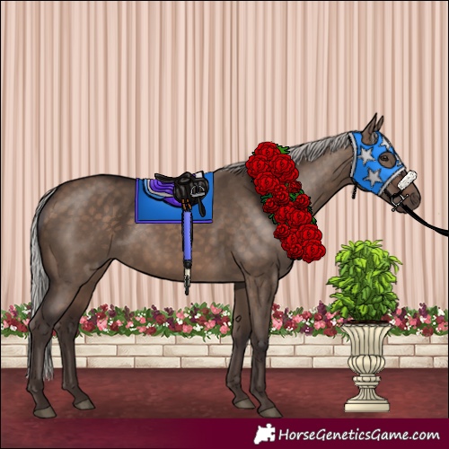 Horse Color:Silver Brown Dun 