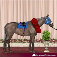 Horse Color:Silver Brown Dun 