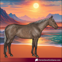 Horse Color:Silver Brown Dun