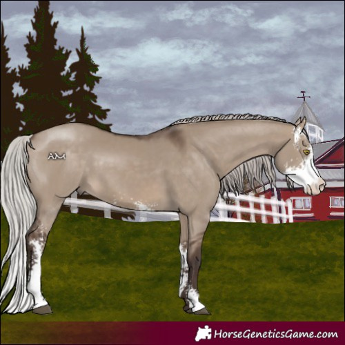 Horse Color:Silver Brown Dun Sabino 