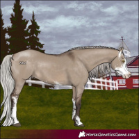 Horse Color:Silver Brown Dun Sabino 