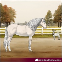 Horse Color:Cremello 