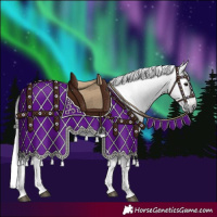 Horse Color:Gray Bay Tobiano 