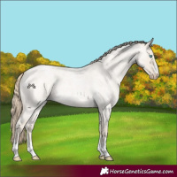 Horse Color:Smoky Creme Roan Dun 