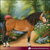 Horse Color:Gray Buckskin 