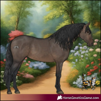 Horse Color:Brown Dun 