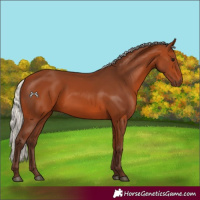 Horse Color:Silver Bay