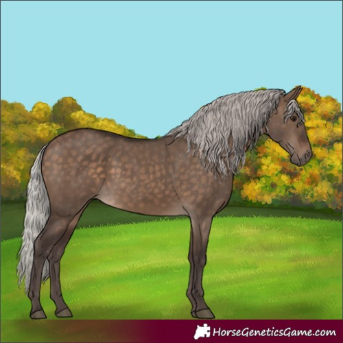 Horse Color:Silver Brown Dun 